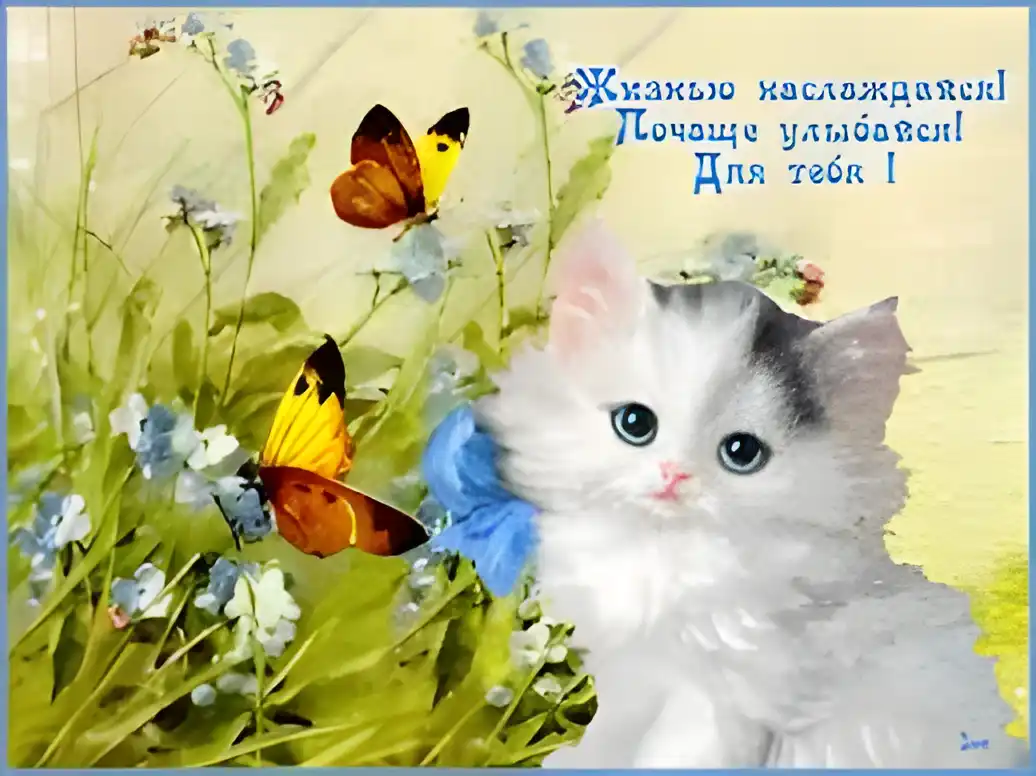 Открытка Открытки улыбнись - Открытка с котенком и бабочкой: нежная весна | Красивая открытка #140