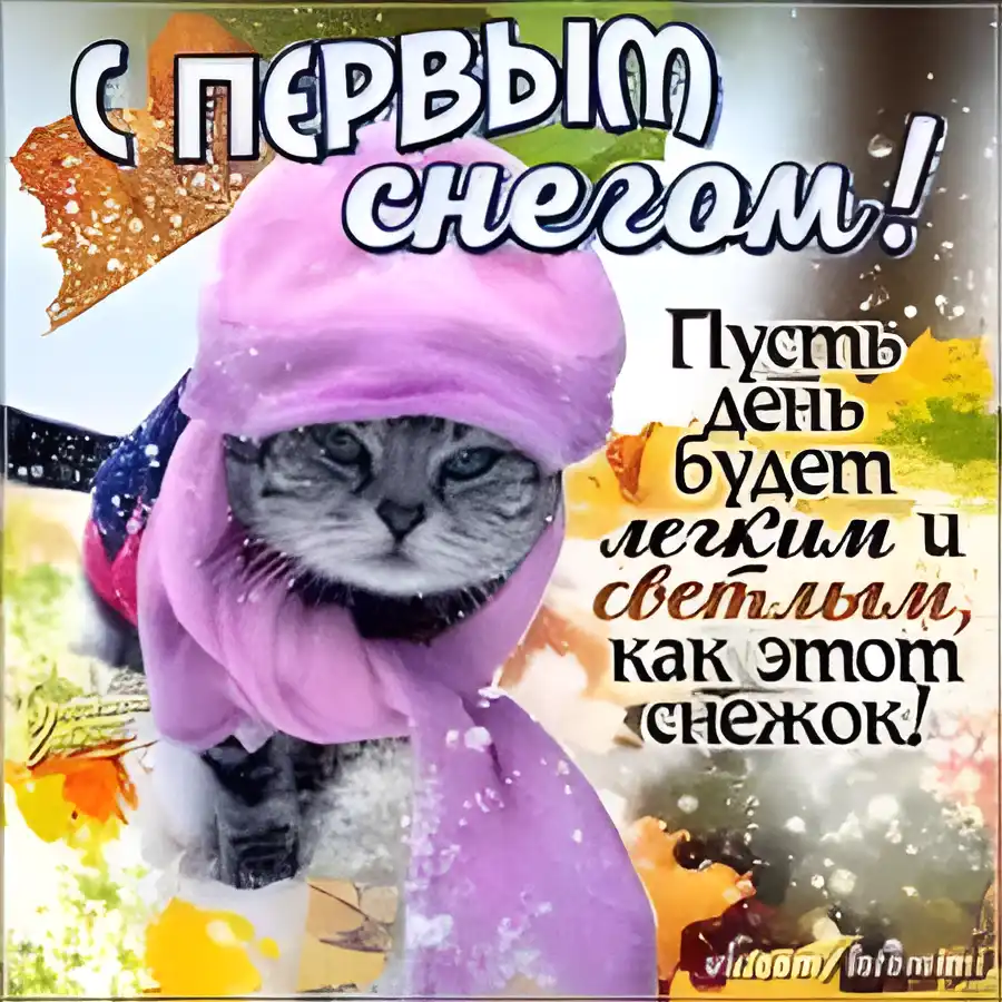 Открытка С первым снегом - Котенок в шапке: открытка с котиком | Красивая открытка #32