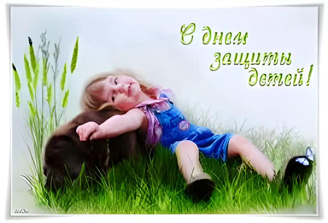 Открытка Открытки с днем защиты животных - Ребёнок и кошка на лугу: открытка с цветами | Красивая открытка #10