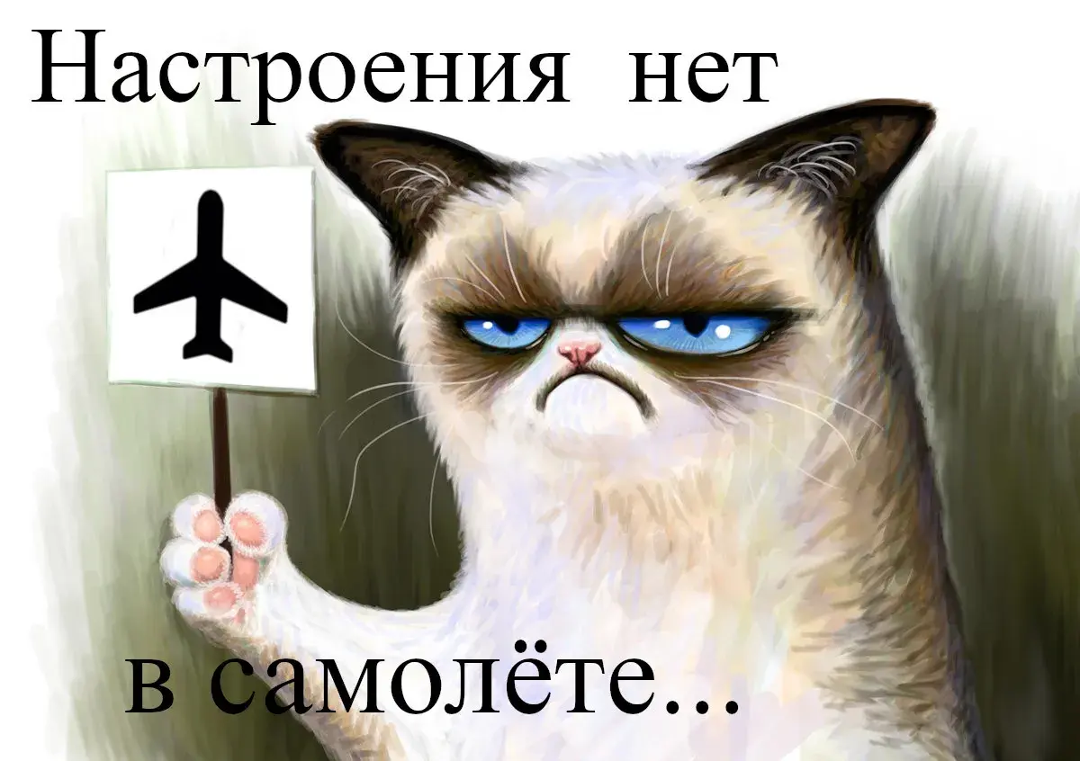 Открытка нет настроения - Грустный кот с самолетом: смешная открытка | Красивая открытка #24