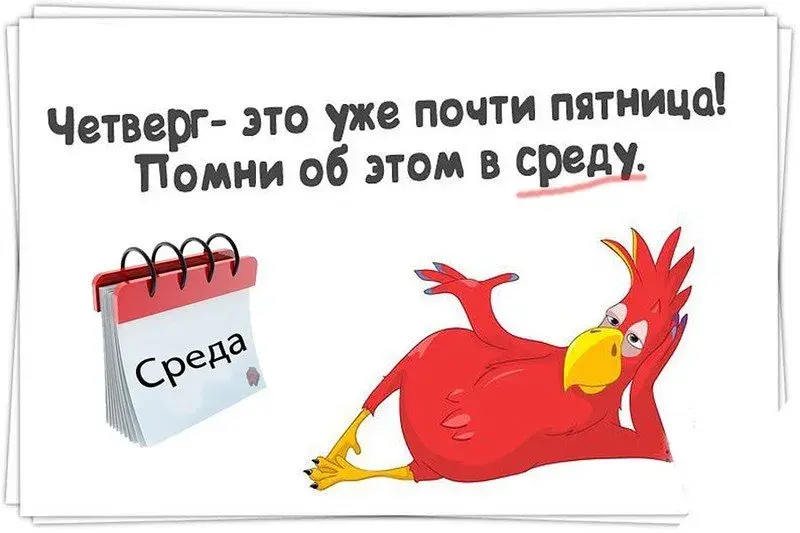 Открытка Четверг - Красный попугай и календарь: смешная открытка | Красивая открытка #20