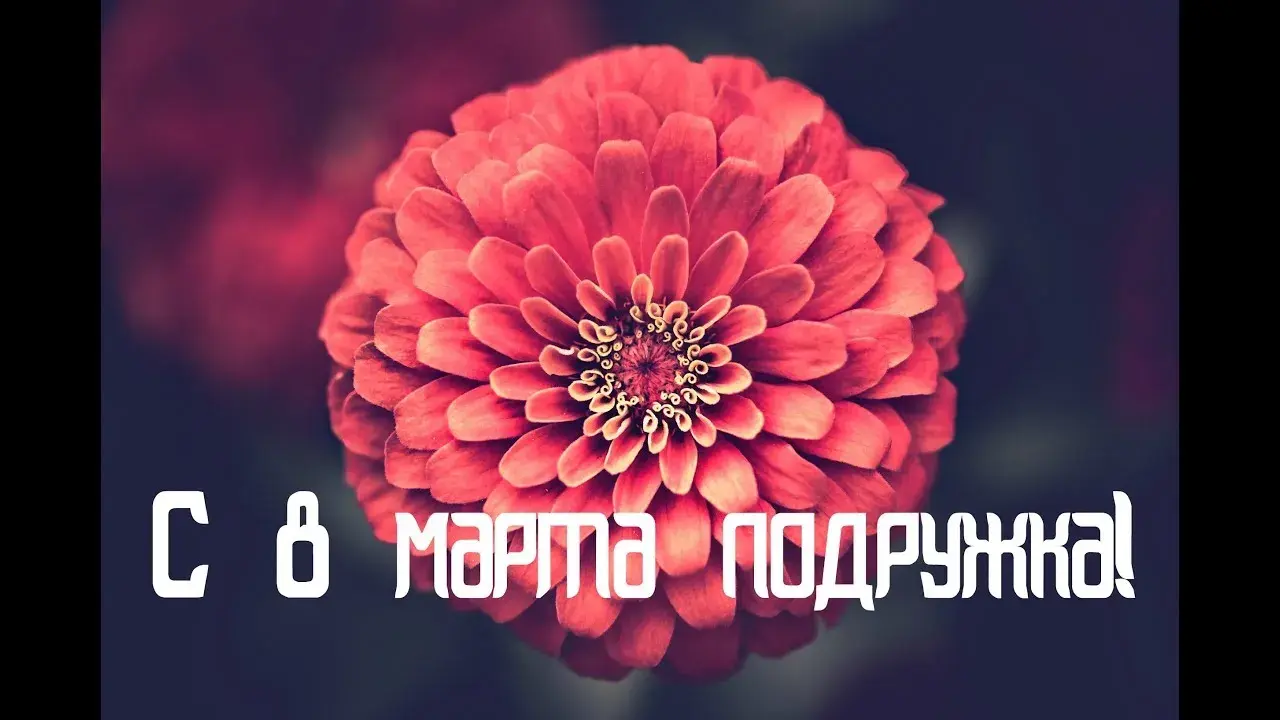 Открытка С 8 марта подруге - Алая георгина: праздничная открытка | Красивая открытка #2