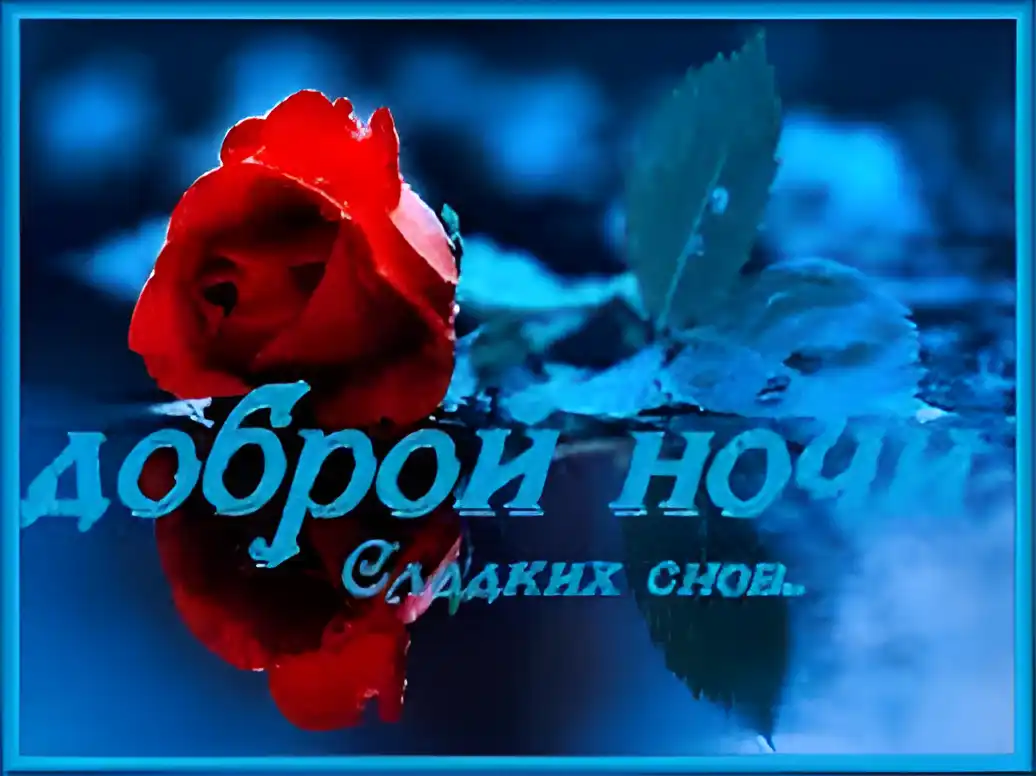 Открытка Спокойной ночи - Красная роза на синем фоне: открытка, поздравление | Красивая открытка #60