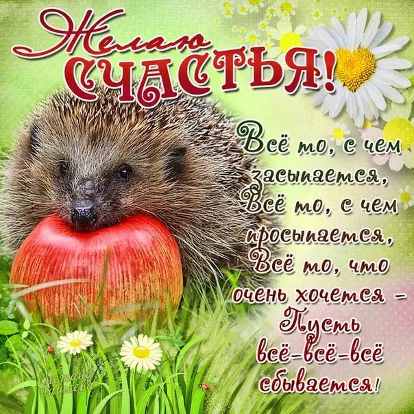 Открытка с днём счастья - Ежик с ромашками: открытка с днем рождения | Красивая открытка #70