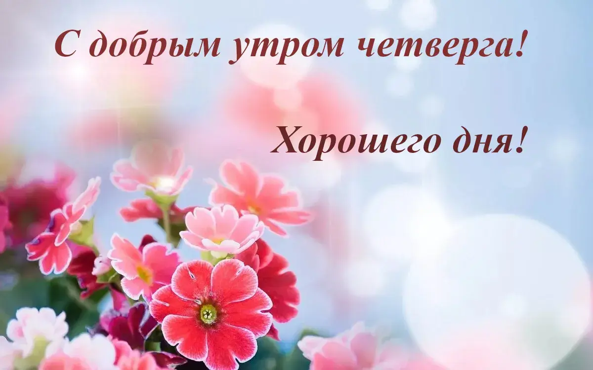 Открытка Доброе утро четверг - Букет ярких цветов на нежном фоне | Красивая открытка #4