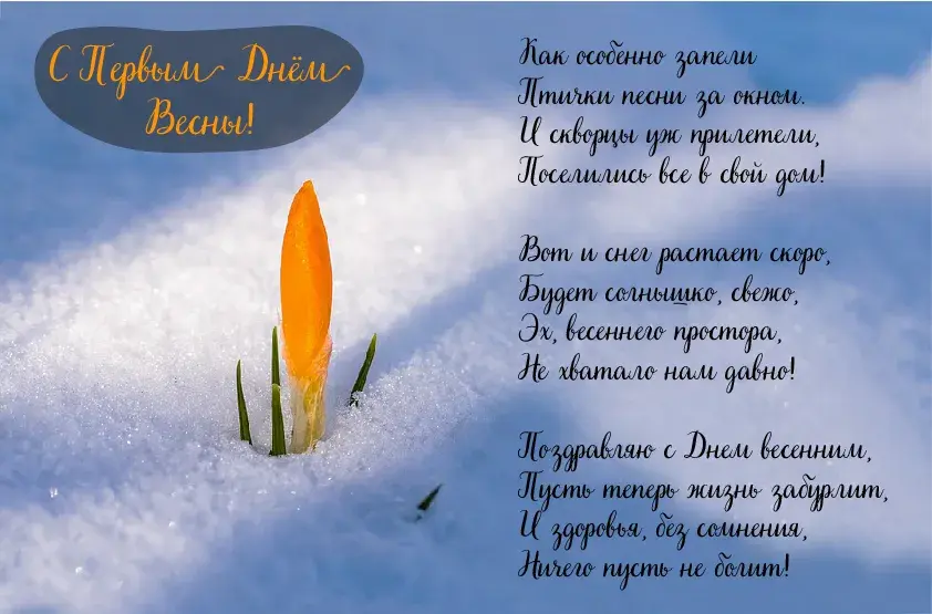 Открытка Первый день весны - Первые подснежники на снегу: весенняя открытка | Красивая открытка #19