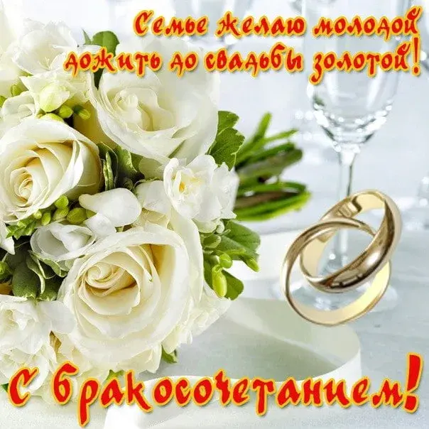Открытка 50 лет - золотая свадьба - Золотые обручальные кольца на цветочной подушке | Красивая открытка #50