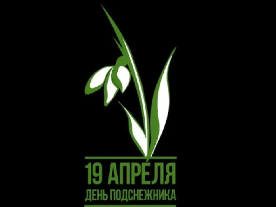 Открытка День подснежника - День Подснежника: Открытка с нежным цветком | Красивая открытка #43