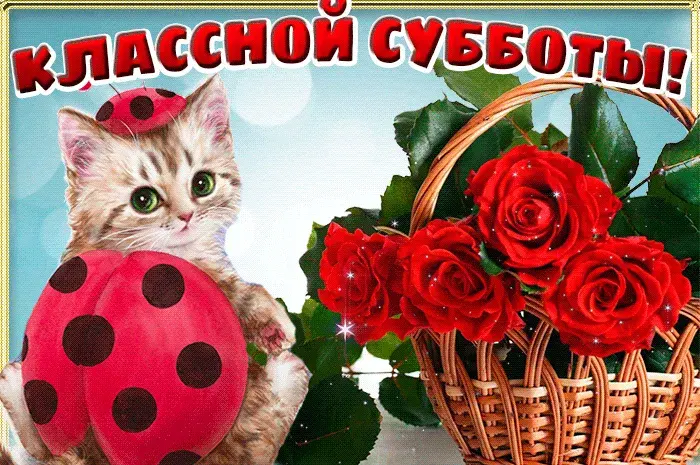 Открытка Удачной субботы - Открытка с котенком, розами и божьей коровкой | Красивая открытка #15