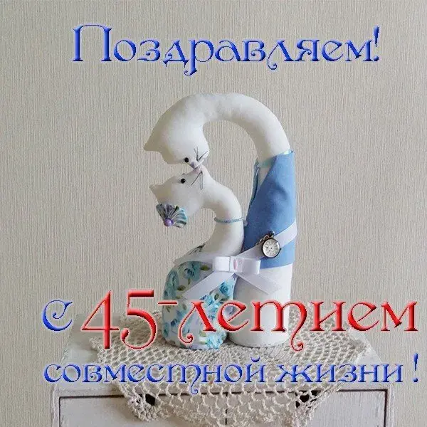 Открытка 45 лет - сапфировая свадьба - Открытка с котенком в голубом: купить онлайн | Красивая открытка #31