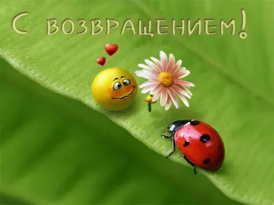 Открытка С возвращением, с приездом - Открытка с божьей коровкой и цветком | Красивая открытка #10