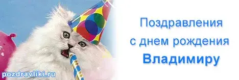 Открытка открытки с именем Владимир - Открытка с котенком на день рождения - Поздравки! | Красивая открытка #149