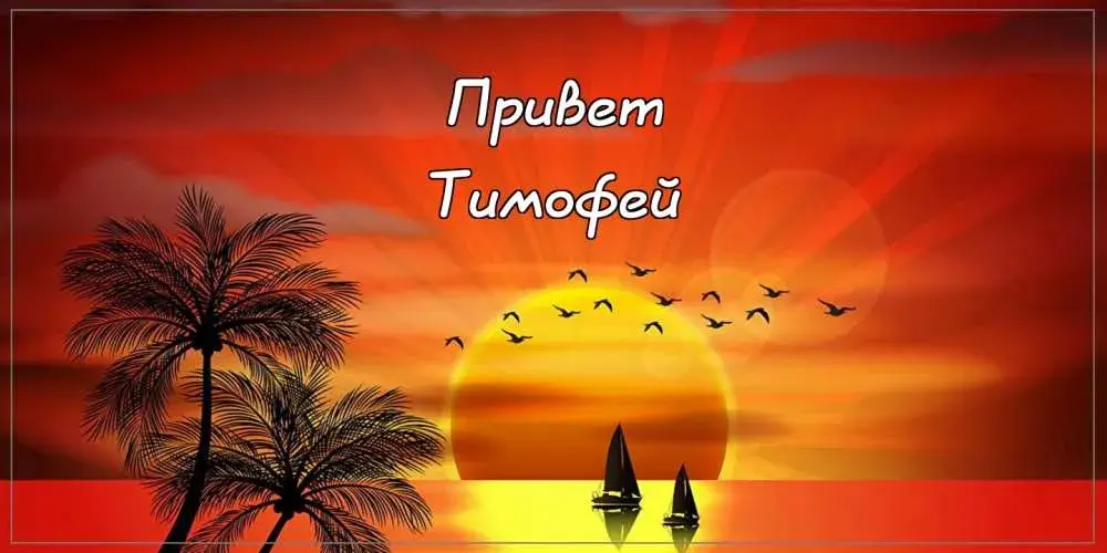 Открытка Открытки с именем Тимофей - Закат над пальмами: открытка с тропическим пейзажем | Красивая открытка #239