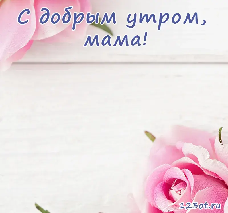 Открытка Доброе утро - Розовые розы на белом фоне | Красивая открытка #443