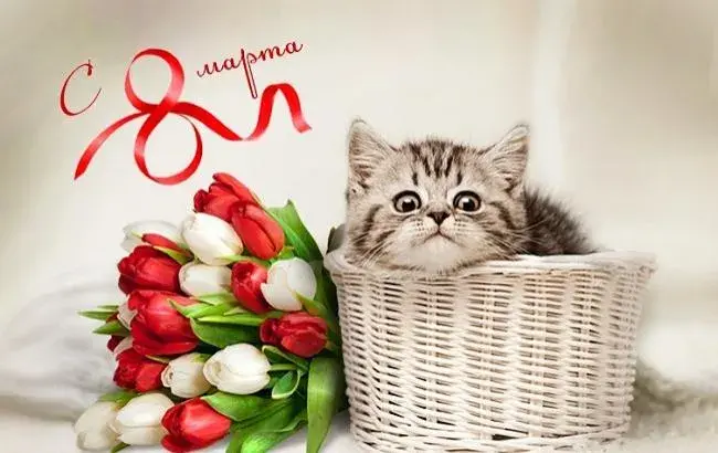 Открытка 8 марта - Котенок и тюльпаны: открытка с милым сюрпризом | Красивая открытка #83