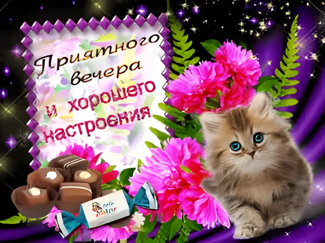 Открытка Открытки хорошего настроения - Открытка с котенком, цветами и конфетами | Красивая открытка #94