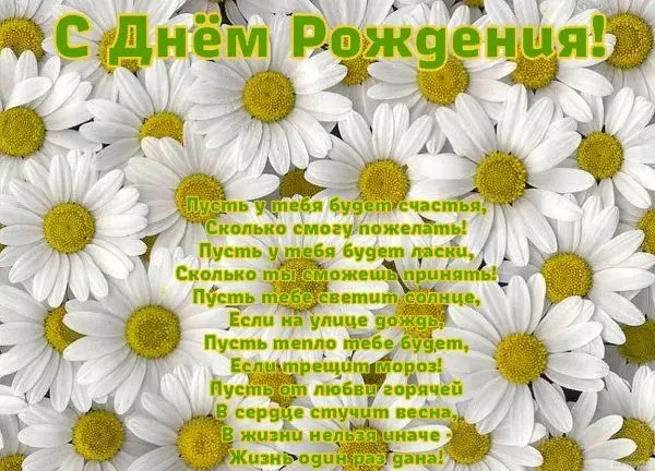 Открытка С ромашками - Поле с ромашками: открытка с днем рождения | Красивая открытка #85