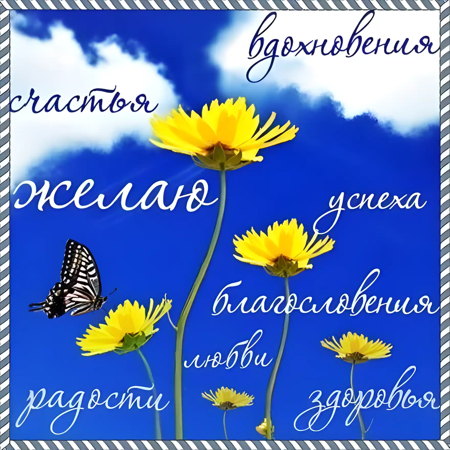 Открытка С одуванчиками - Открытка с подсолнухами и бабочкой: Поздравления с праздником | Красивая открытка #95