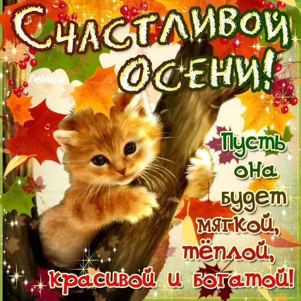 Открытка Первый день осени - С Днем Осени: Милый котенок на осенней открытке! | Красивая открытка #43