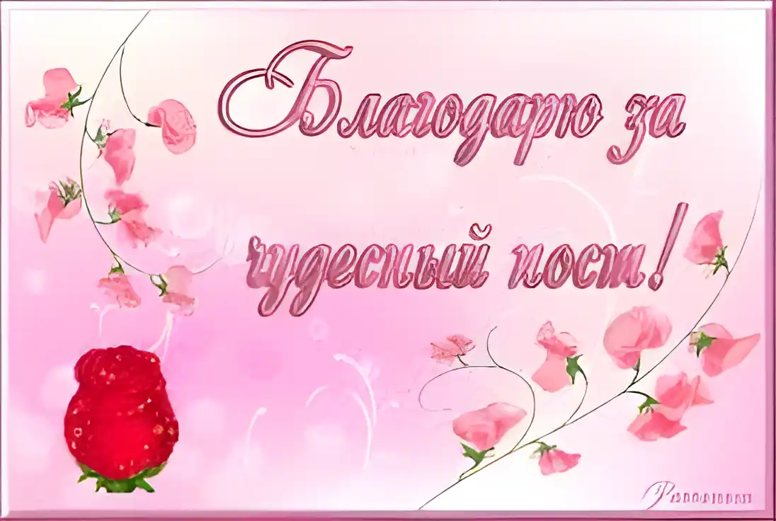 Открытка открытки с благодарностью  - Открытка с цветами: розы и пионы, розовый фон | Красивая открытка #193