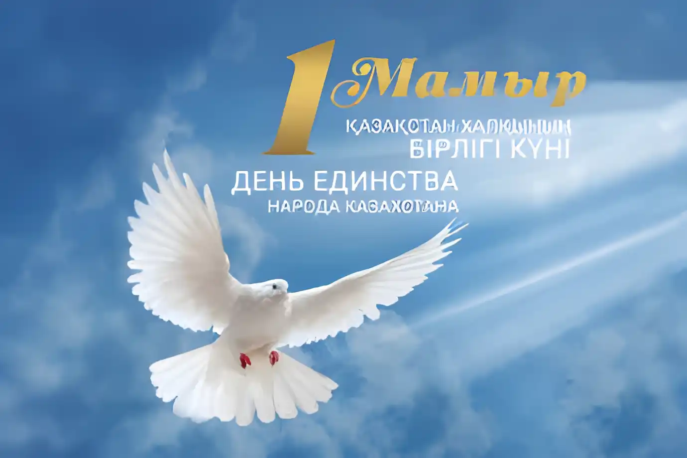 Открытка 1 Мамыр. 1 Мая. День Единства народов Казахстана - Белый голубь в полете на фоне неба. Праздничная открытка. | Красивая открытка #53