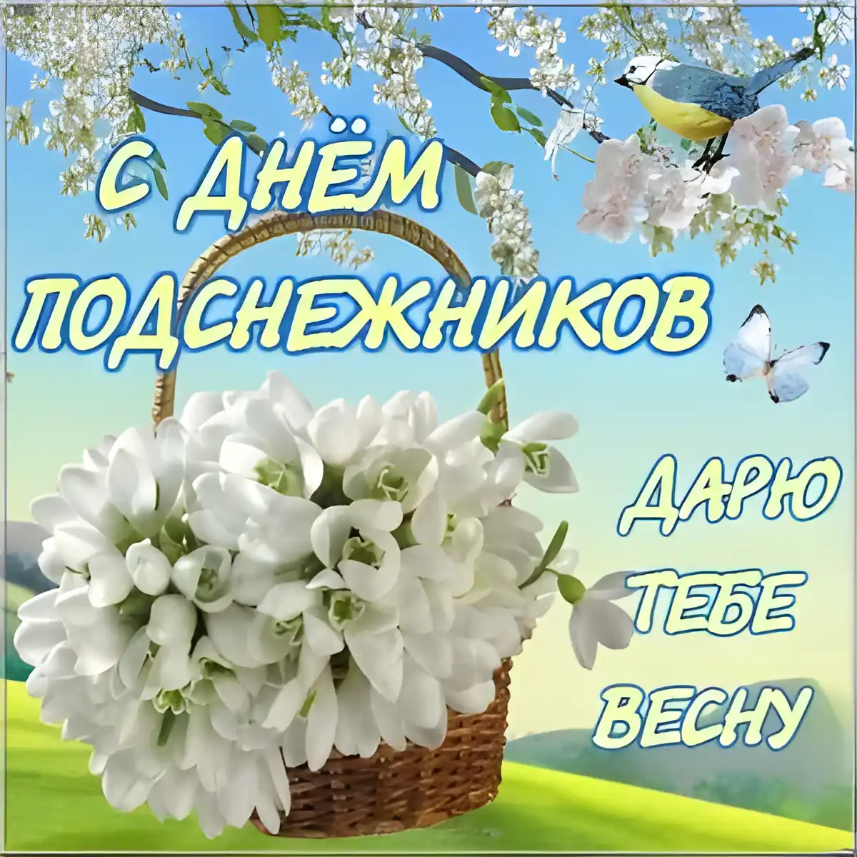 Открытка Открытки с днем подснежника - Белые цветы в плетёной корзине на фоне весны | Красивая открытка #22