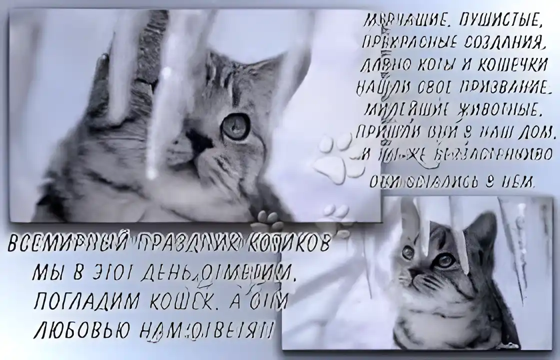 Открытка День Кошек - Котенок на открытке: милый взгляд, снежинки | Красивая открытка #10
