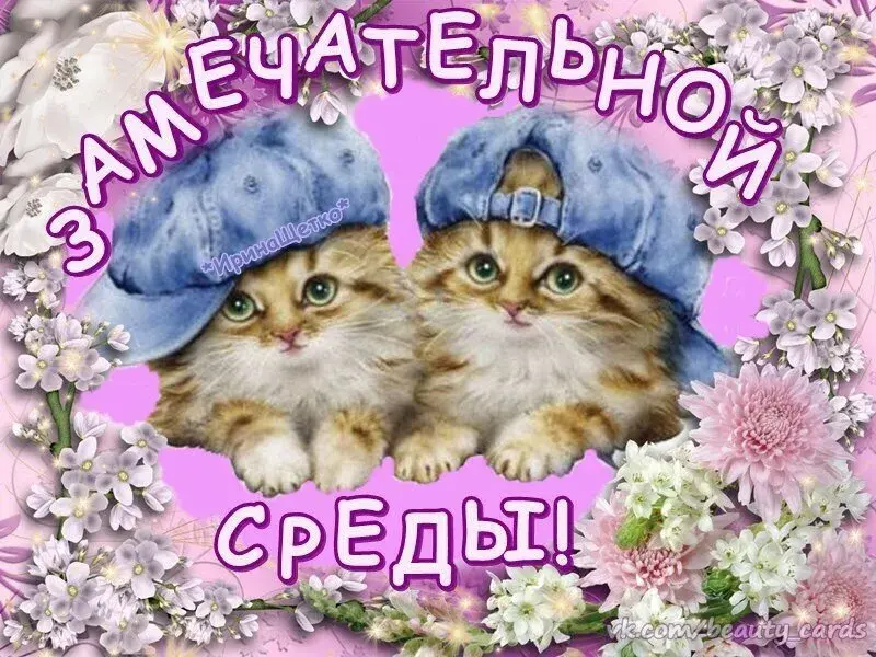 Открытка Со средой - Открытка с котятами в шапочках | Красивая открытка #9