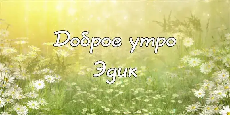 Открытка Открытки с именем Эдуард - Поле с ромашками: открытка с добрым утром | Красивая открытка #223