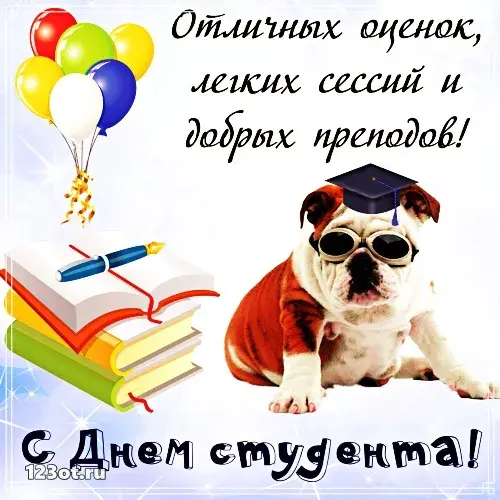 Открытка Открытки с днем студента - Открытка с щенком в шапочке: С Днем студента! | Красивая открытка #82