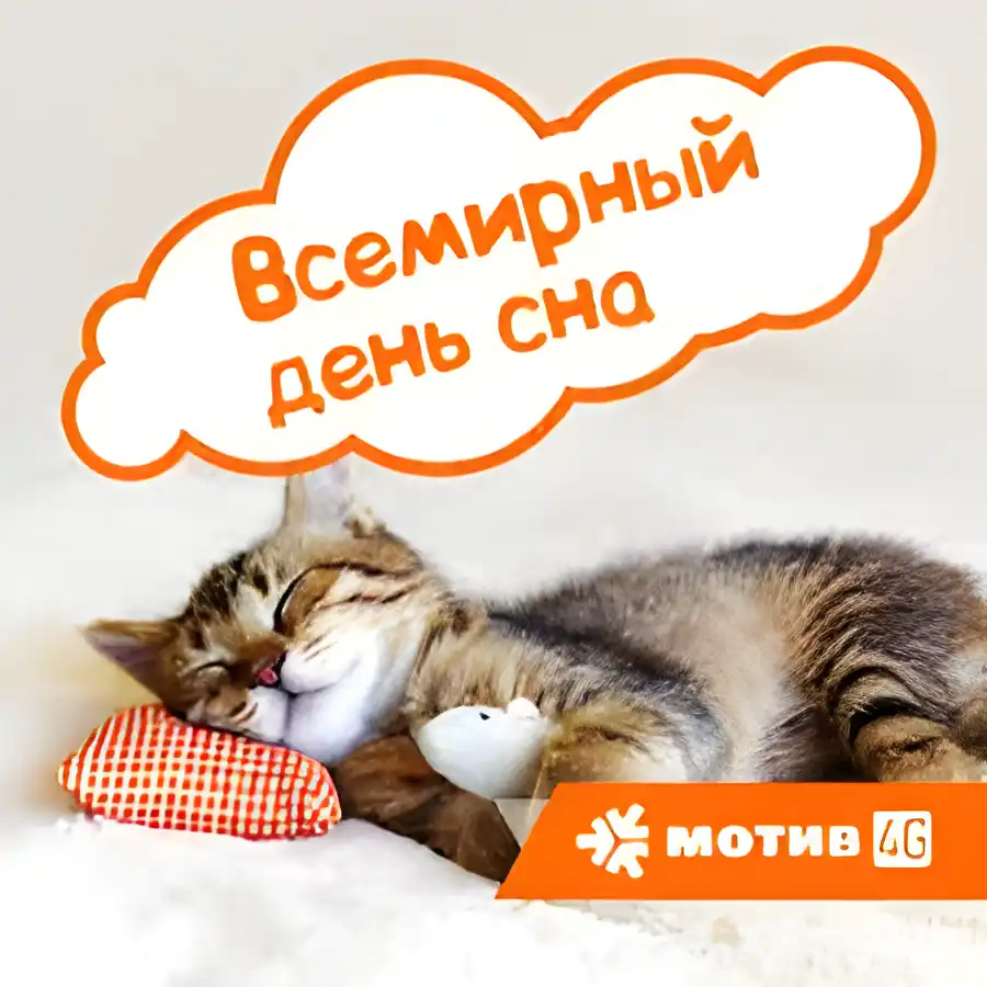 Открытка Всемирный день сна - Спящий котенок: милая открытка с котом | Красивая открытка #6
