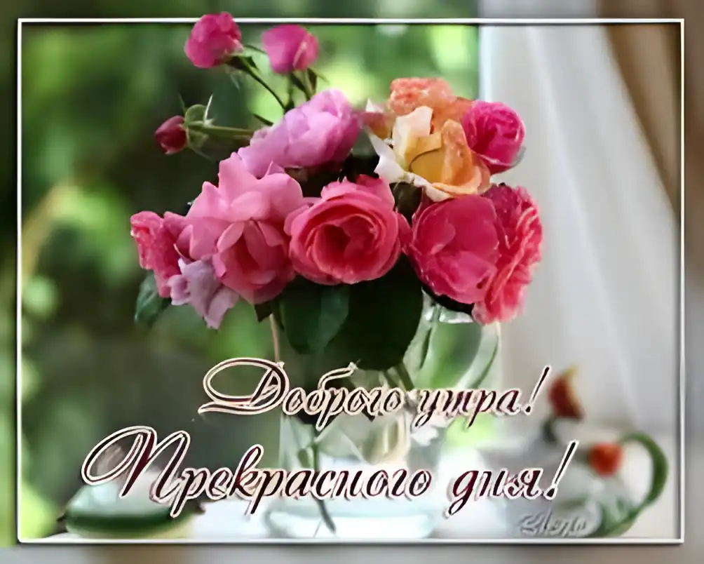Открытка Открытки с цветами - Букет роз: открытка с добрым утром и днем рождения | Красивая открытка #102