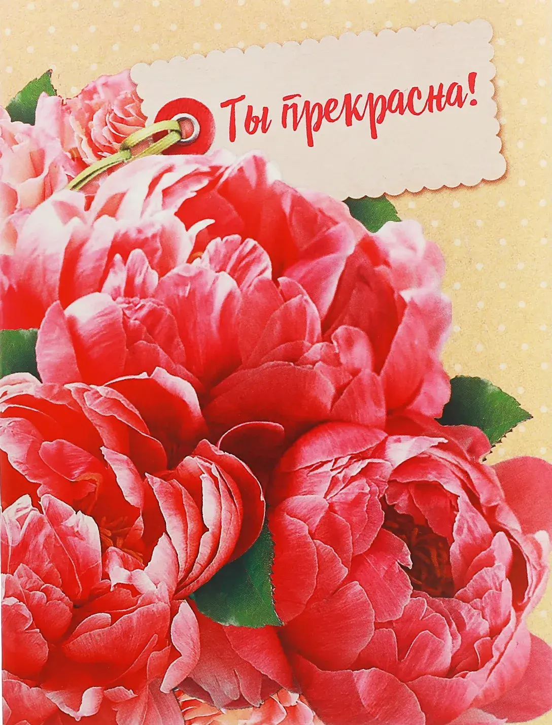 Открытка Ты прекрасна - Открытка с красными пионами | Красивая открытка #15