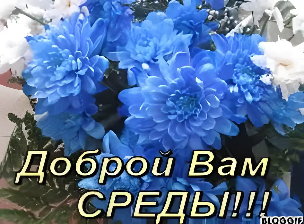 Открытка Открытки на среду - Открытка «Среды» с голубыми цветами | Красивая открытка #91