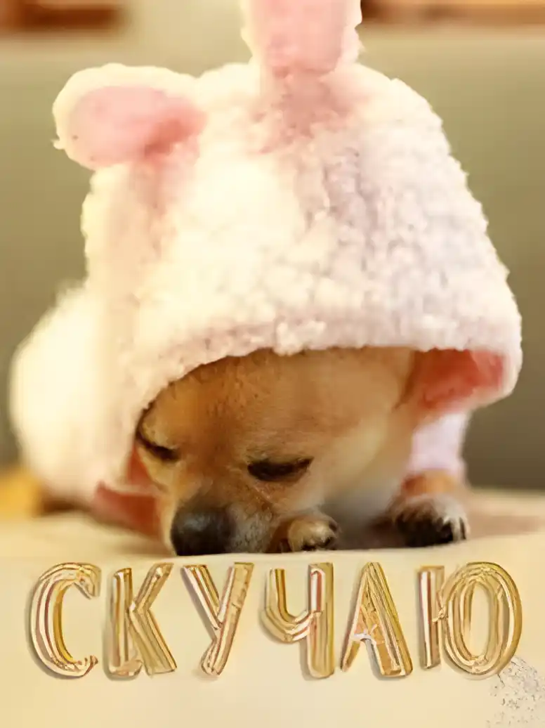Открытка Открытки скучаю по тебе - Щенок в шапке зайчика - милая открытка | Красивая открытка #239