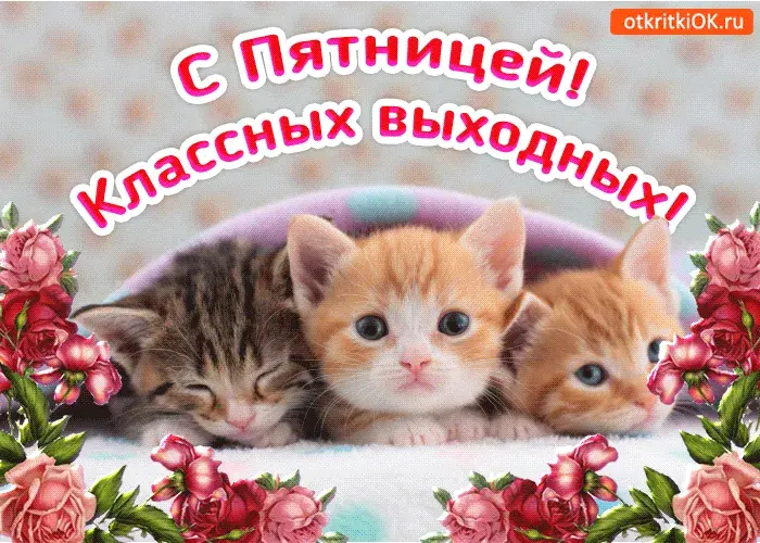 Открытка Хорошей пятницы - Открытка с котятами и цветами | Красивая открытка #33