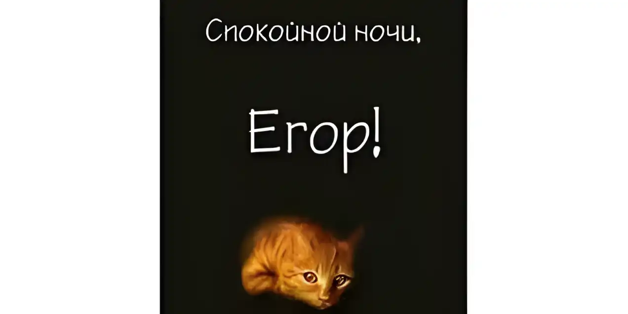 Открытка открытки с именем Егор - Открытка с рыжим котенком | Красивая открытка #72