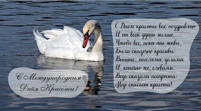 Открытка С международным Днём красоты - Лебедь на воде: поздравление с Днем красоты | Красивая открытка #26
