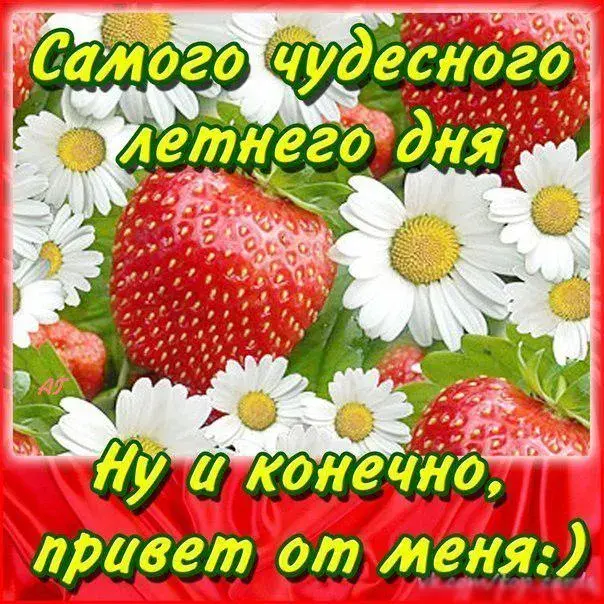 Открытка С ягодами - Открытка: Васильки и клубника | Красивая открытка #24
