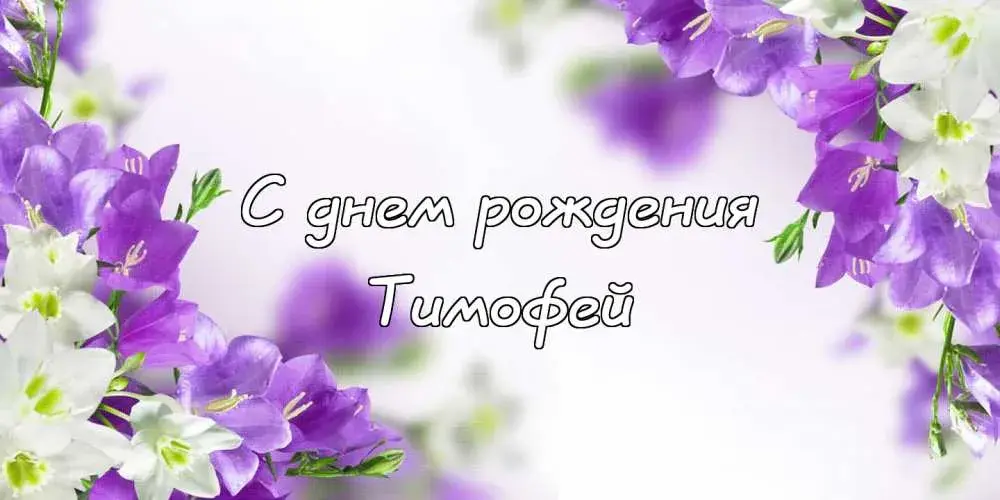 Открытка Открытки с именем Тимофей - Открытка: Поздравления с днем рождения — фиалки и белые цветы | Красивая открытка #77