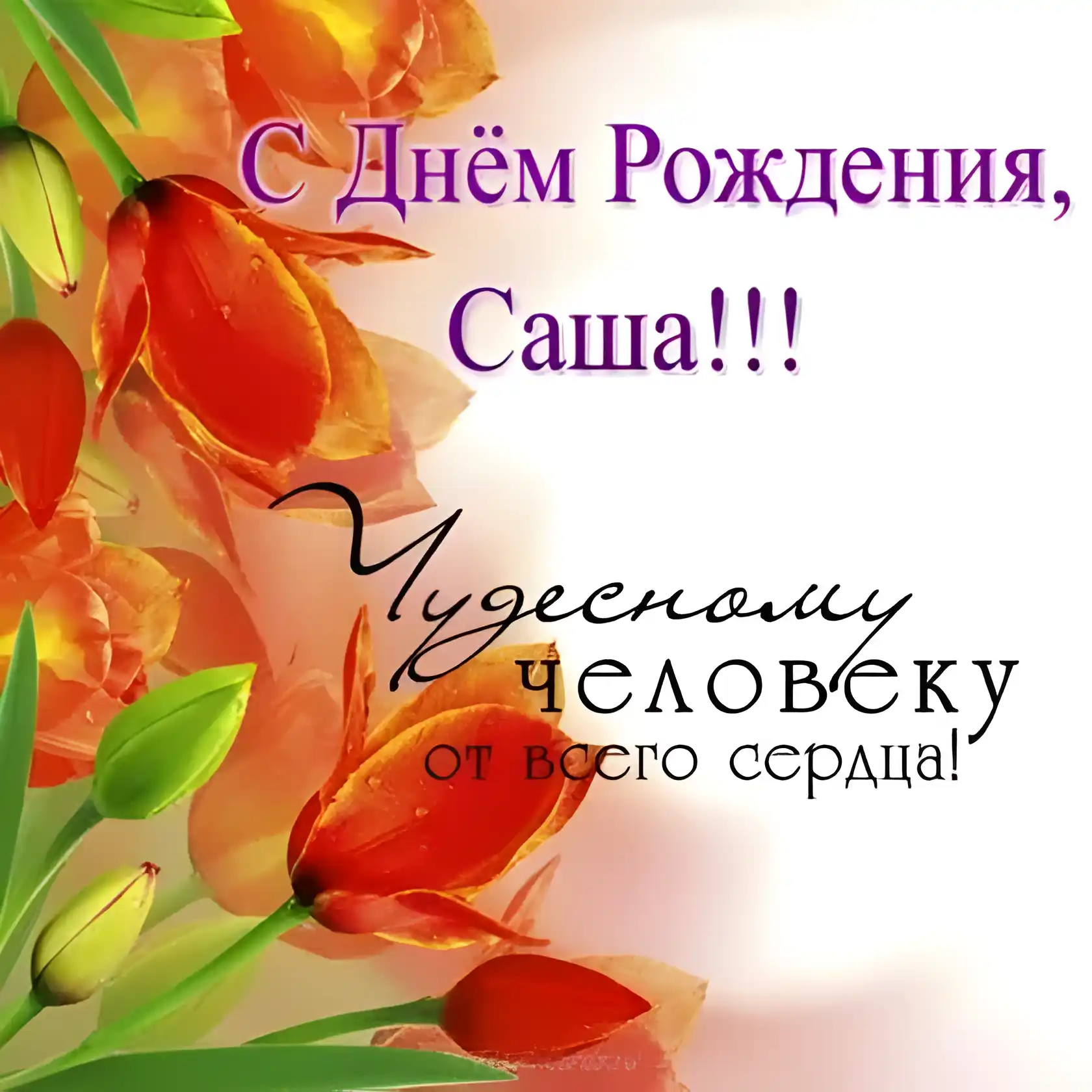 Открытка открытки с именем Александр - Открытка с днем рождения: Красные цветы и надпись | Красивая открытка #170