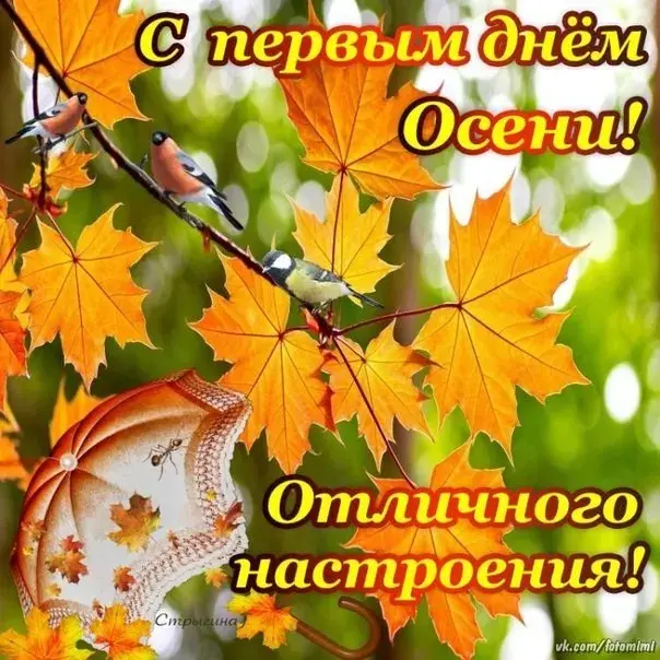 Открытка Первый день осени - Открытка с осенними листьями и зонтиком | Красивая открытка #55