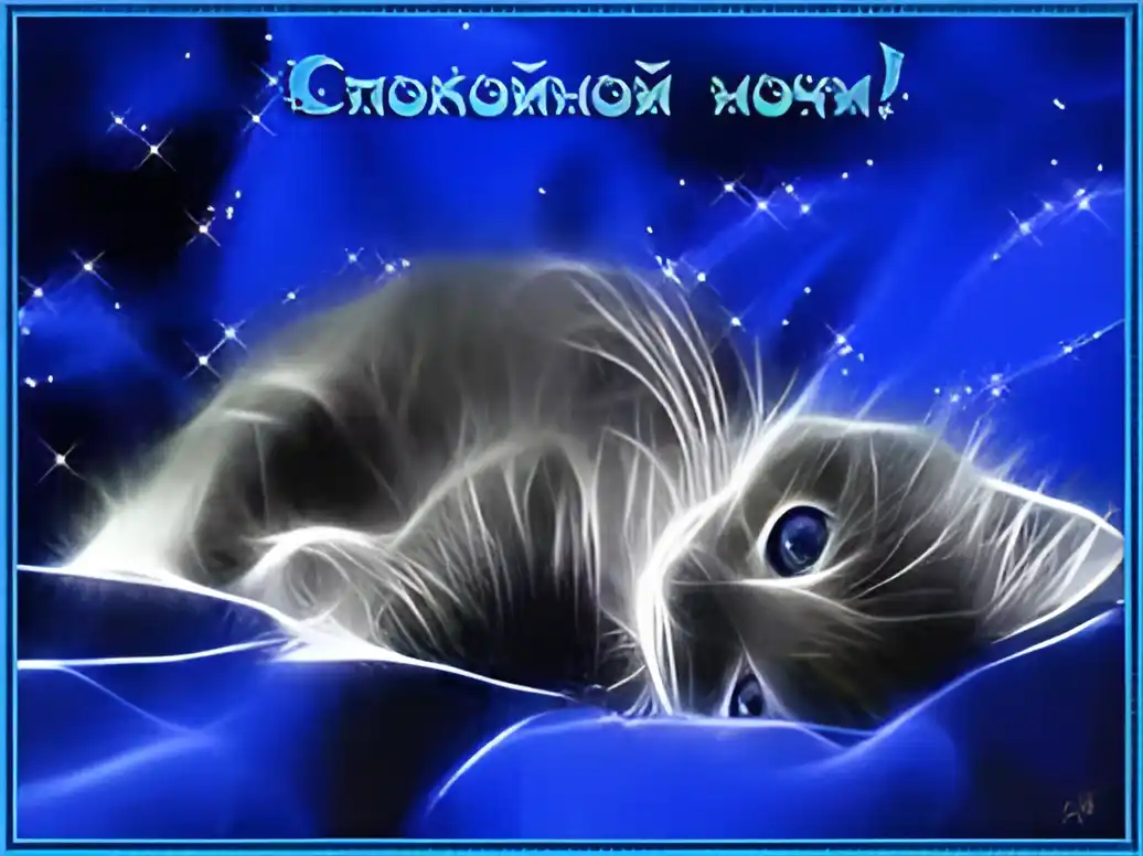 Открытка Спокойной ночи - Котенок на синем фоне: открытка с котенком | Красивая открытка #288