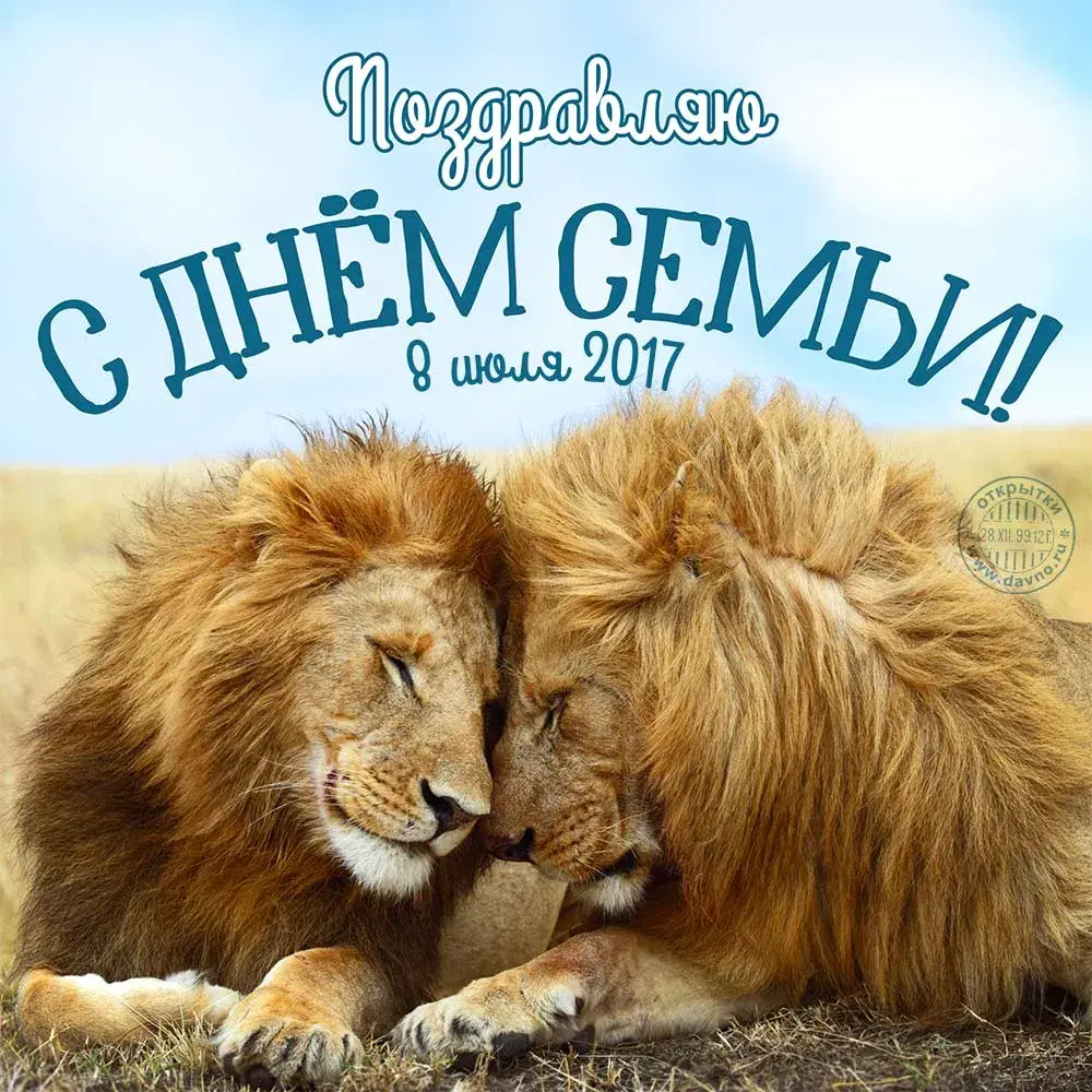 Открытка День семьи - Два льва: открытка с днем семьи, любовь и защита | Красивая открытка #40