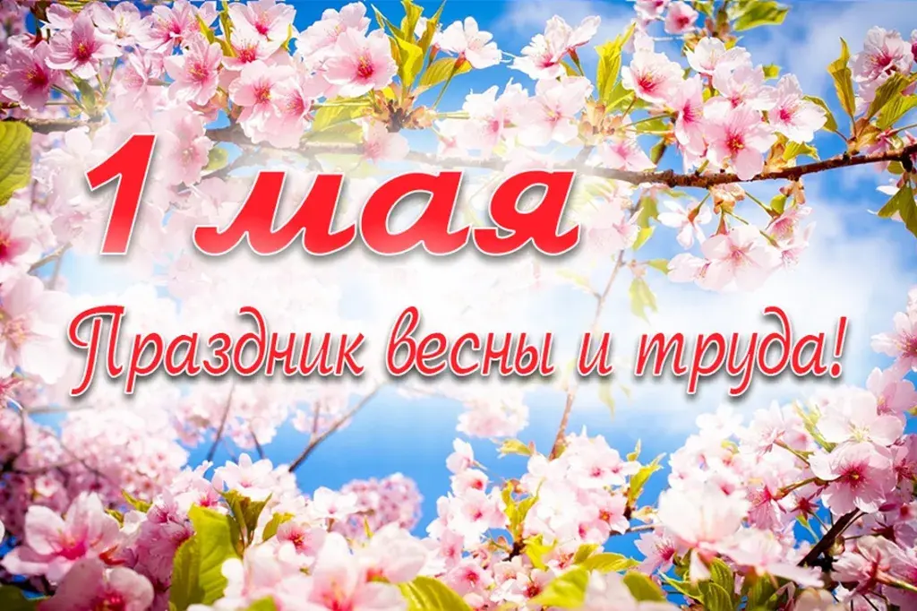 Открытка 1 мая - Цветущая вишня: открытка с 1 мая | Красивая открытка #76