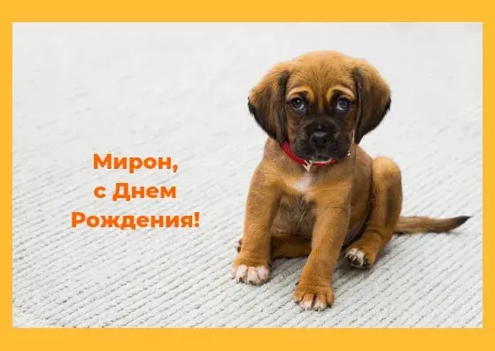 Открытка Открытки с именем Мирон  - Открытка: милый щенок с днем рождения | Красивая открытка #224
