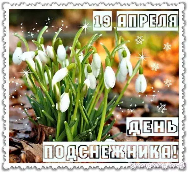 Открытка День подснежника - Открытка с подснежниками: Весеннее настроение  Праздничные открытки | Красивая открытка #7