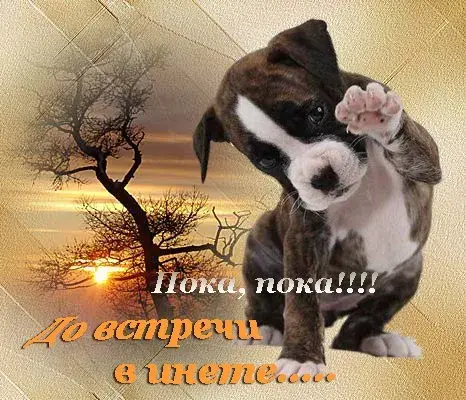 Открытка Открытки с прощаниями  - Собака на фоне заката: открытка с щенком | Красивая открытка #44