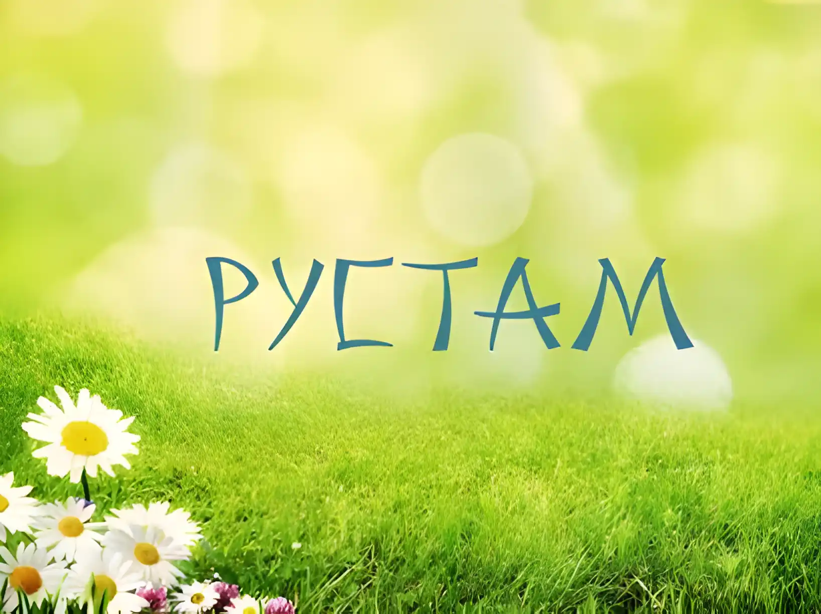 Открытка Открытки с именем Рустам - Открытка с ромашками на лугу | Красивая открытка #163