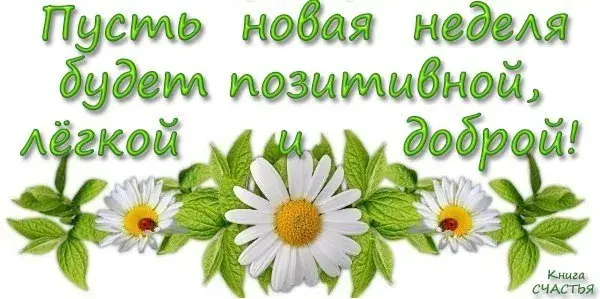 Открытка Недели - Открытка с ромашками и зелеными листьями | Красивая открытка #28